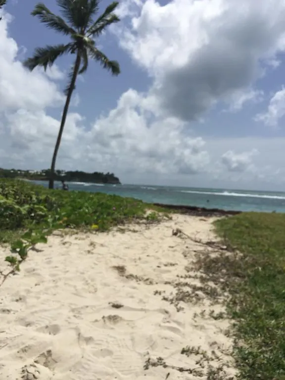 Appartement location guadeloupe à Le Gosier